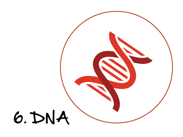 The Discipling Tree Series: No Canned Curriculum